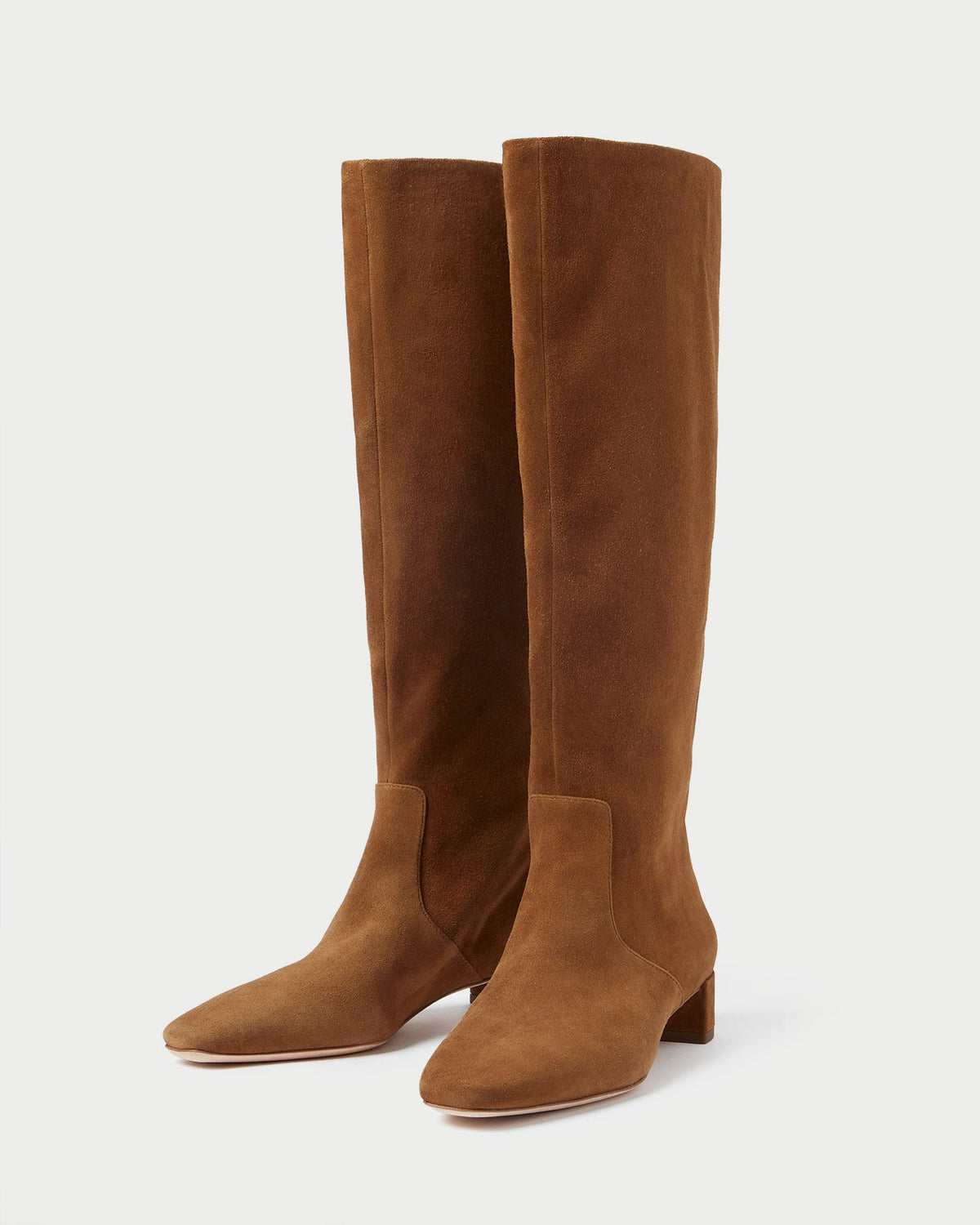 Women Loeffler Randall Indy Cacao Suede Tall Boot